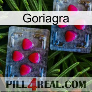 Goriagra 14